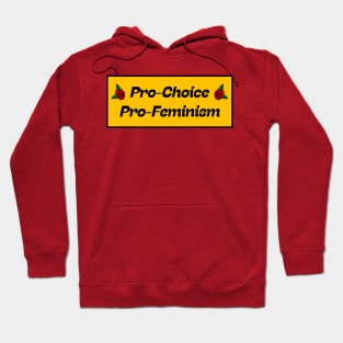Pro Choice, Pro Feminism Hoodie